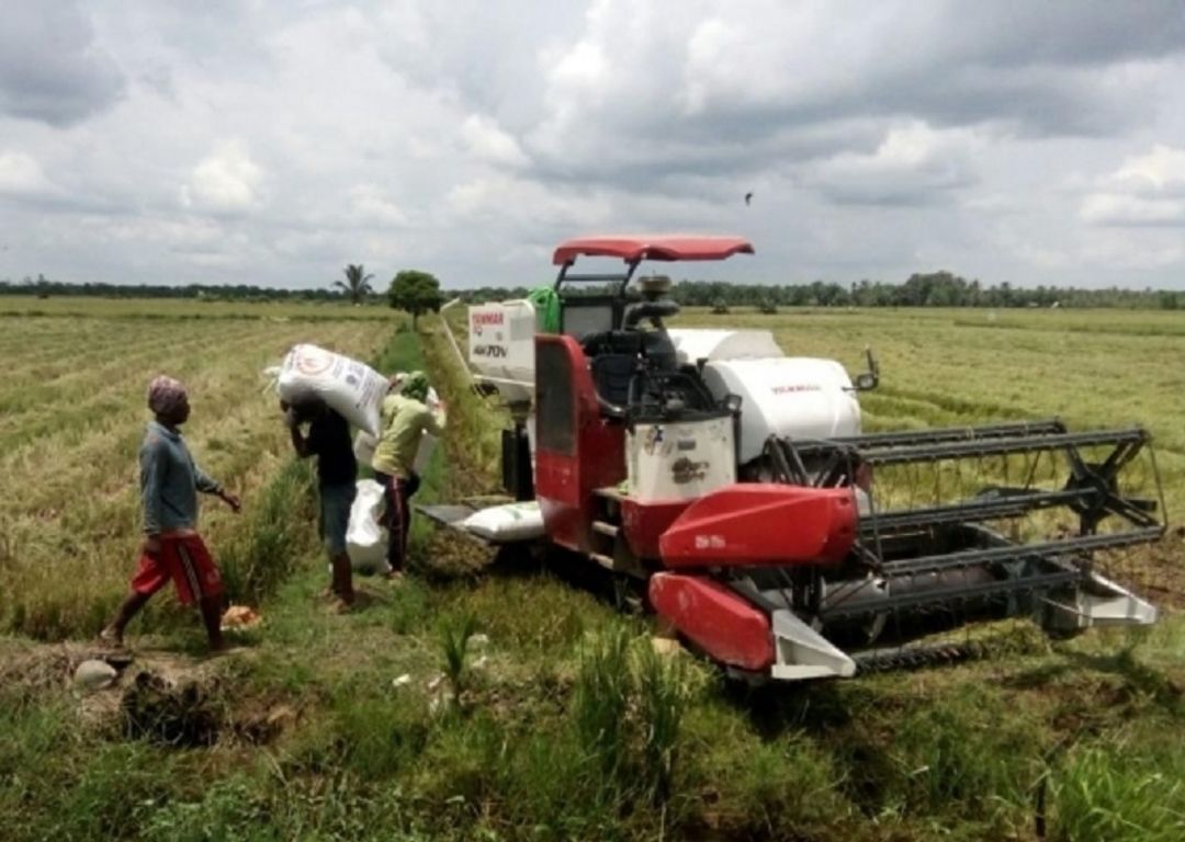 <p>Petani tengah memanen padi. / Dok. Kementan</p>
