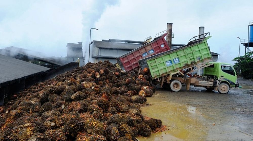 <p>Foto: Dsn.co.id</p>