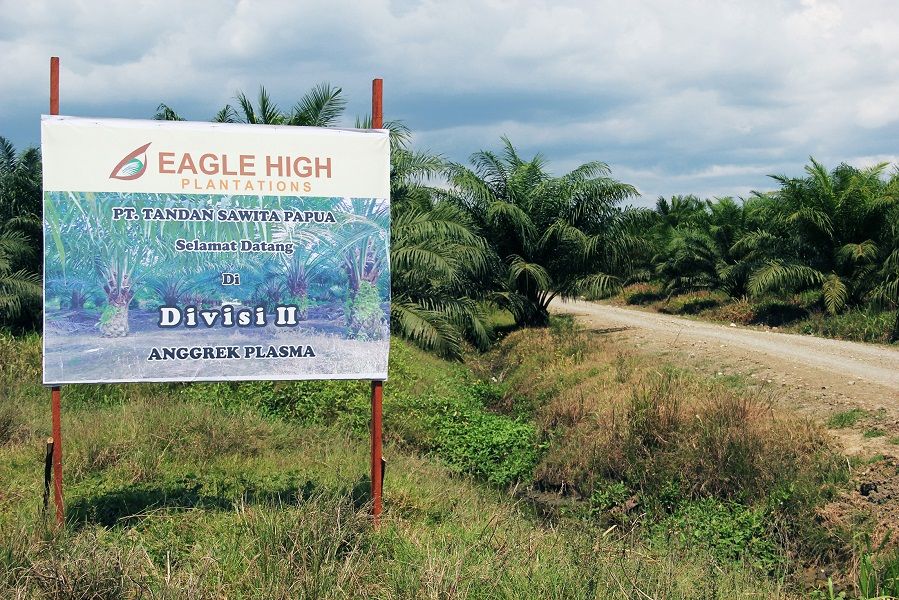 <p>Emiten perkebunan kelapa sawit milik konglomerat Peter Sondakh, PT Eagle High Plantations Tbk. / Rajawali.com</p>
