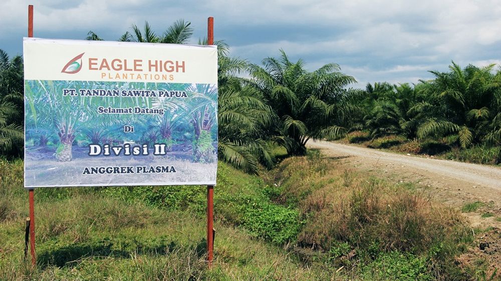 <p>Emiten perkebunan kelapa sawit milik konglomerat Peter Sondakh, PT Eagle High Plantations Tbk. / Rajawali.com</p>
