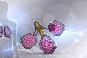 <p>Fibrosis paru-paru. / Shutterstock</p>
