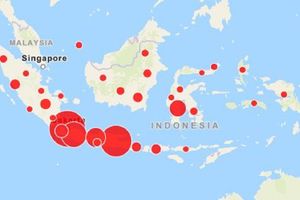 <p>Peta persebaran COVID-19 di Indonesia. / Covid19.go.id</p>