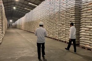<p>Presiden Joko Widodo saat melakukan pengecekan gudang beras dan gula di Perum Bulog beberapa waktu lalu / Dok. Setneg</p>
