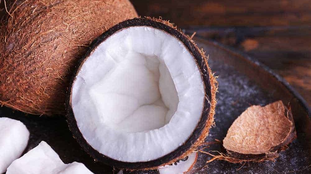 <p>Kopra Putih (Sumber: https://majalah.ramesia.com/)</p>
