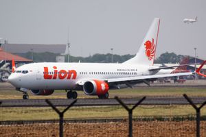 <p> Maskapai penerbangan Lion Air. / Lionair.co.id</p>

