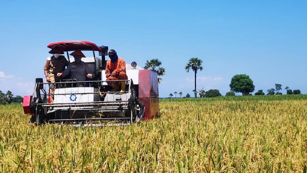 <p>Kementerian Pertanian tengah mempersiapkan kerja sama pembukaan lahan pertanian atau cetak sawah seluas 600.000 hektare. / Facebook @kementanRI</p>
