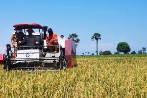 <p>Kementerian Pertanian tengah mempersiapkan kerja sama pembukaan lahan pertanian atau cetak sawah seluas 600.000 hektare. / Facebook @kementanRI</p>
