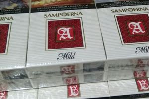 <p>Rokok Sampoerna Mild. / Tokopedia</p>
