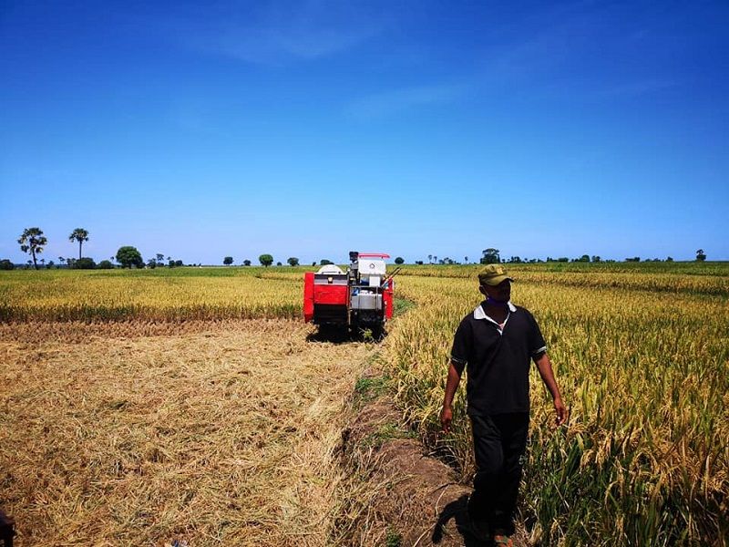 <p>Pemerintah berencana mencetak ratusan ribu hektare sawah baru di lahan gambut. / Facebook @kementanRI</p>
