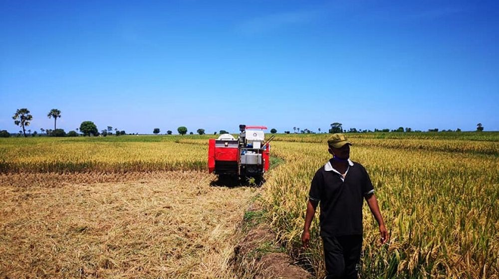 <p>Pemerintah berencana mencetak ratusan ribu hektare sawah baru di lahan gambut. / Facebook @kementanRI</p>
