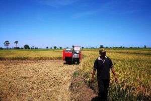 <p>Pemerintah berencana mencetak ratusan ribu hektare sawah baru di lahan gambut. / Facebook @kementanRI</p>
