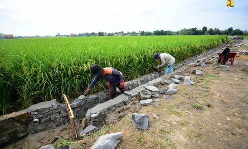 <p>Salah satu kegiatan pembangunan dengan skema padat karya tunai (PKT). / Dok. Kementerian PUPR</p>
