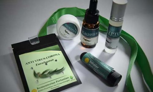 <p>Produk antivirus berbahan eucalyptus yang diluncurkan Kementan/Foto: Kementan</p>
