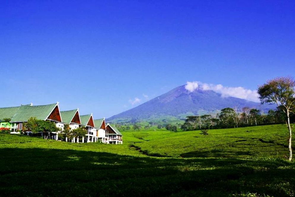 Gunung Dempo yang berlokasi di Kota Pagaralam Sumsel salah satu objek wisata alam andalan