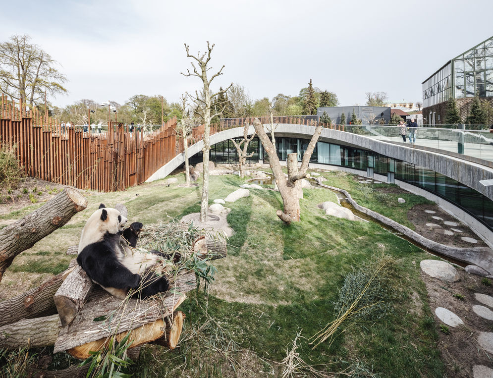 Rumah Panda Kebun Binatang  Copenhagen, Denmark.