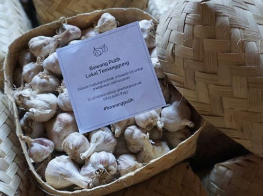 Bawang putih hasil panen para petani di Temanggung.