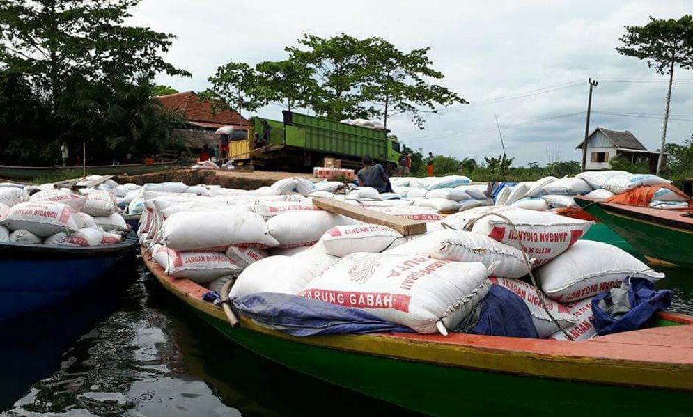 Pengangkutan gabah hasil sawah rawa di kawasan Banyuasin