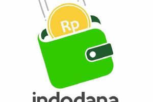 Platform teknologi finansial (financial technology/fintech) peer-to-peer (P2P) 