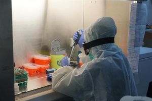 <p>PT Kalbe Farma Tbk. tengah mengembangkan obat herbal sebagai produk imunomodulator herbal dalam penanganan pasien COVID-19. / Kalbe.co.id</p>
