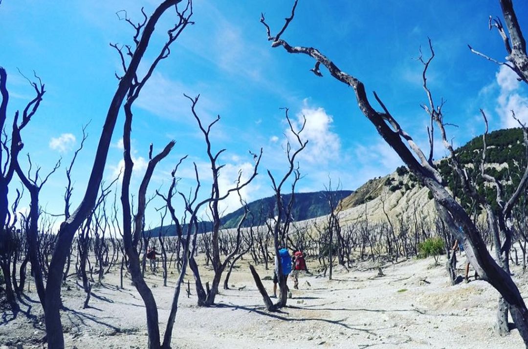 <p>Gunung Papandayan adalah salah satu wisata alam unggulan Kabupaten Garut, Jawa Barat. / Foto: Sukirno/TrenAsia</p>
