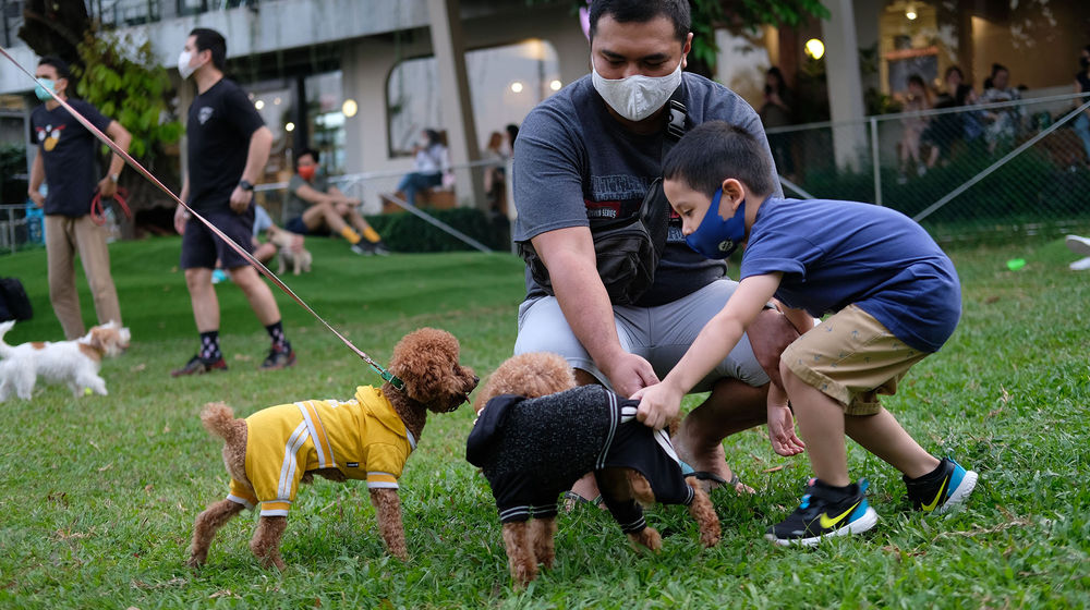 <p>Pengunjung membawa anjing peliharaannya bermain di area Dog Park taman kawasan Kemang Timur, Jakarta, Sabtu 20 Juni 2020. Foto: Ismail Pohan/TrenAsia</p>
