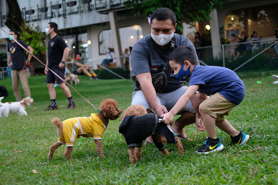 <p>Pengunjung membawa anjing peliharaannya bermain di area Dog Park taman kawasan Kemang Timur, Jakarta, Sabtu 20 Juni 2020. Foto: Ismail Pohan/TrenAsia</p>
