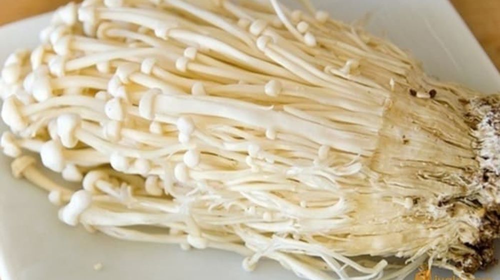 <p>Jamur Enoki/Sumber: Tokopedia</p>
