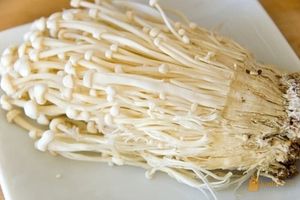 <p>Jamur Enoki/Sumber: Tokopedia</p>
