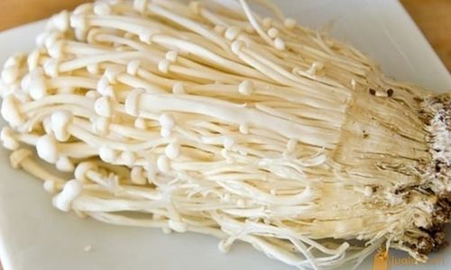 <p>Jamur Enoki/Sumber: Tokopedia</p>

