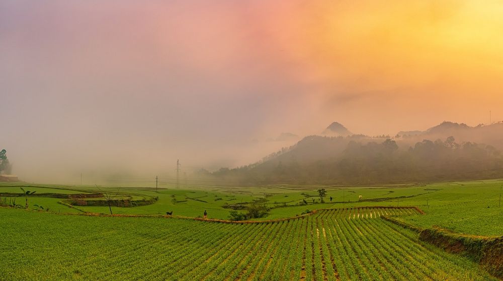 <p>Ilustrasi program cetak sawah. / Pixabay</p>
