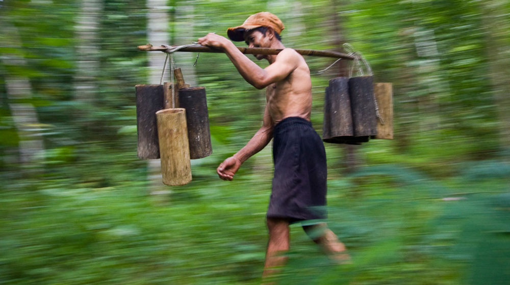 <p>Sumber: nirasatria.com</p>
