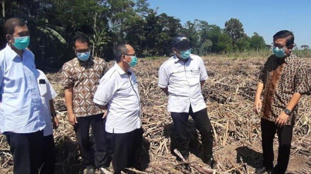 Dirut PTPN XI, Dwi Satriyo Annurogo (kedua dari kanan) saat kunjungan ke lahan tebu disela giling di PG beberapa waktu lalu.