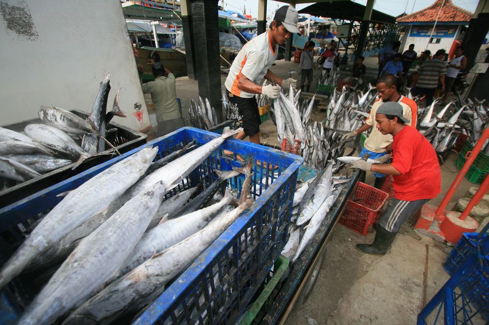 Ilustrasi pasar ikan/Foto: KKP