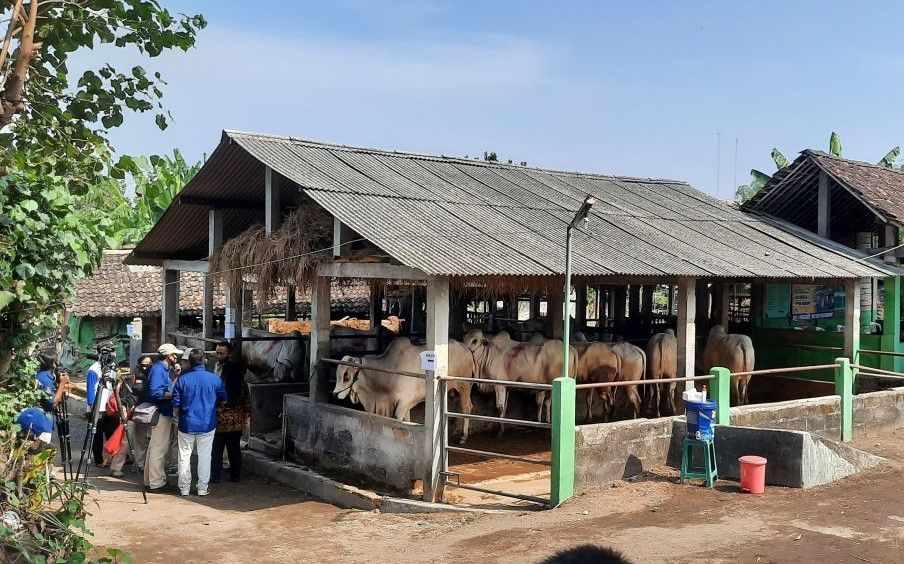 Kelompok Ternak Sido Rahayu