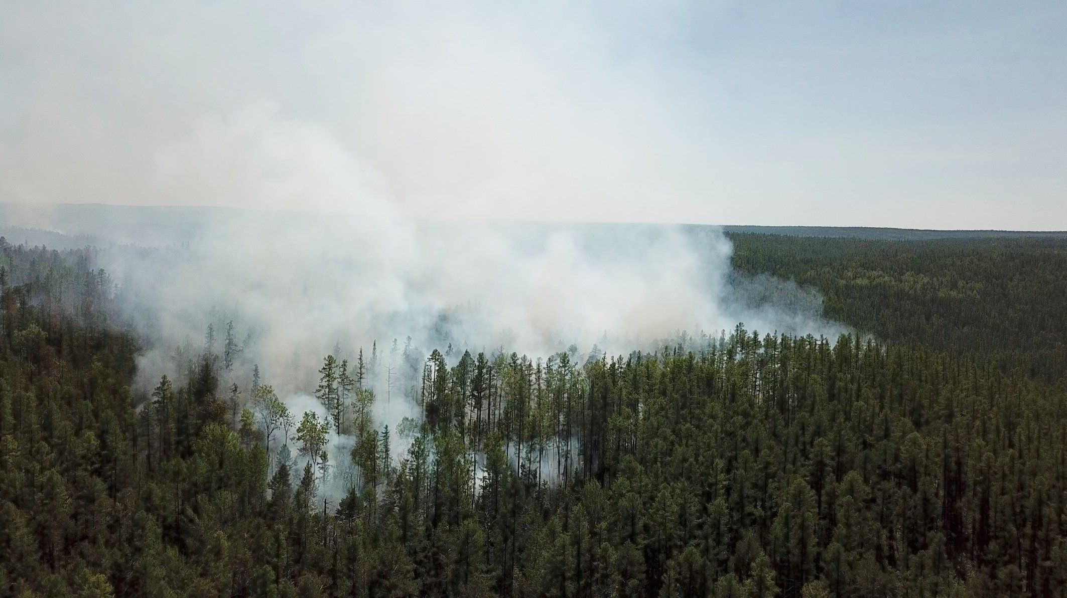 Kebakaran hutan di Siberia, dipicu gelombang panas sampai 38 derajat Celcius. 