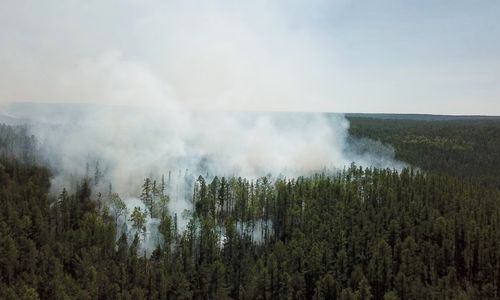 Kebakaran hutan di Siberia, dipicu gelombang panas sampai 38 derajat Celcius. 