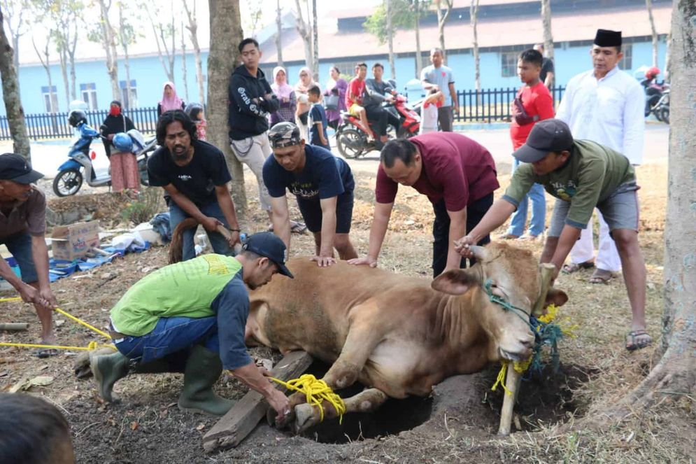 Penyembelihan hewan kurban harus dilakukan dengan protokol kesehatan yang sangat ketat.