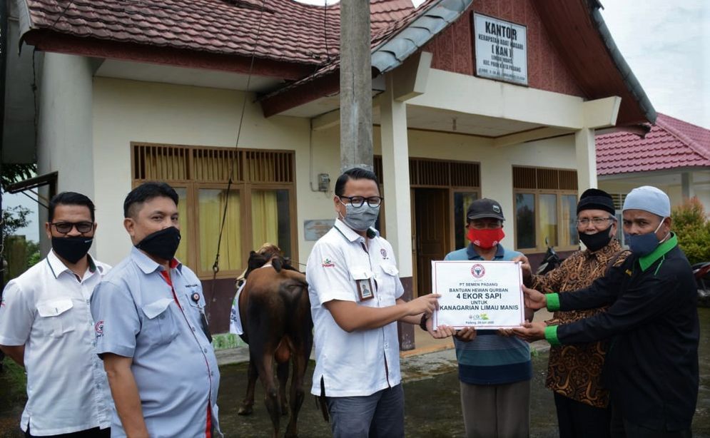 Kepala Unit CSR Semen Padang Muhamad Ikrar menyerahkan sapi kurban secara simbolis kepada Pengurus KAN Limau Manih/Foto: ist