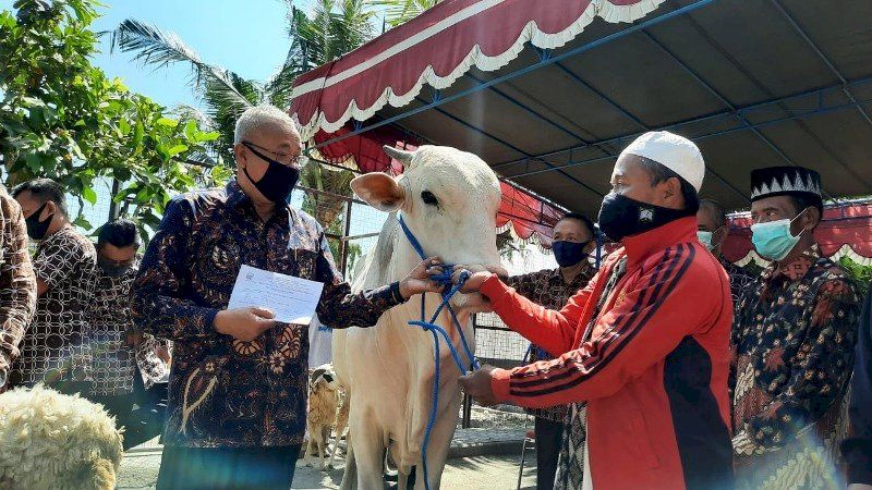 Penyerahan sapi bantuan dari Gubernur DIY oleh Bupati Bantul Suharsono kepada warga Dusun Kebonsungu 1, Desa Dlingo, Kecamatan Dlingo