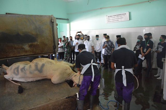 Walikota Yogyakarta Haryadi Suyuti saat meninjau Rumah Pemotongan Hewan (RPH) Giwangan