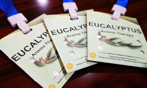 <p>Kalung minyak kayu putih berbahan Eucalyptus yang diklaim mampu tangkal virus COVID-19. / Facebook @KementanRI</p>