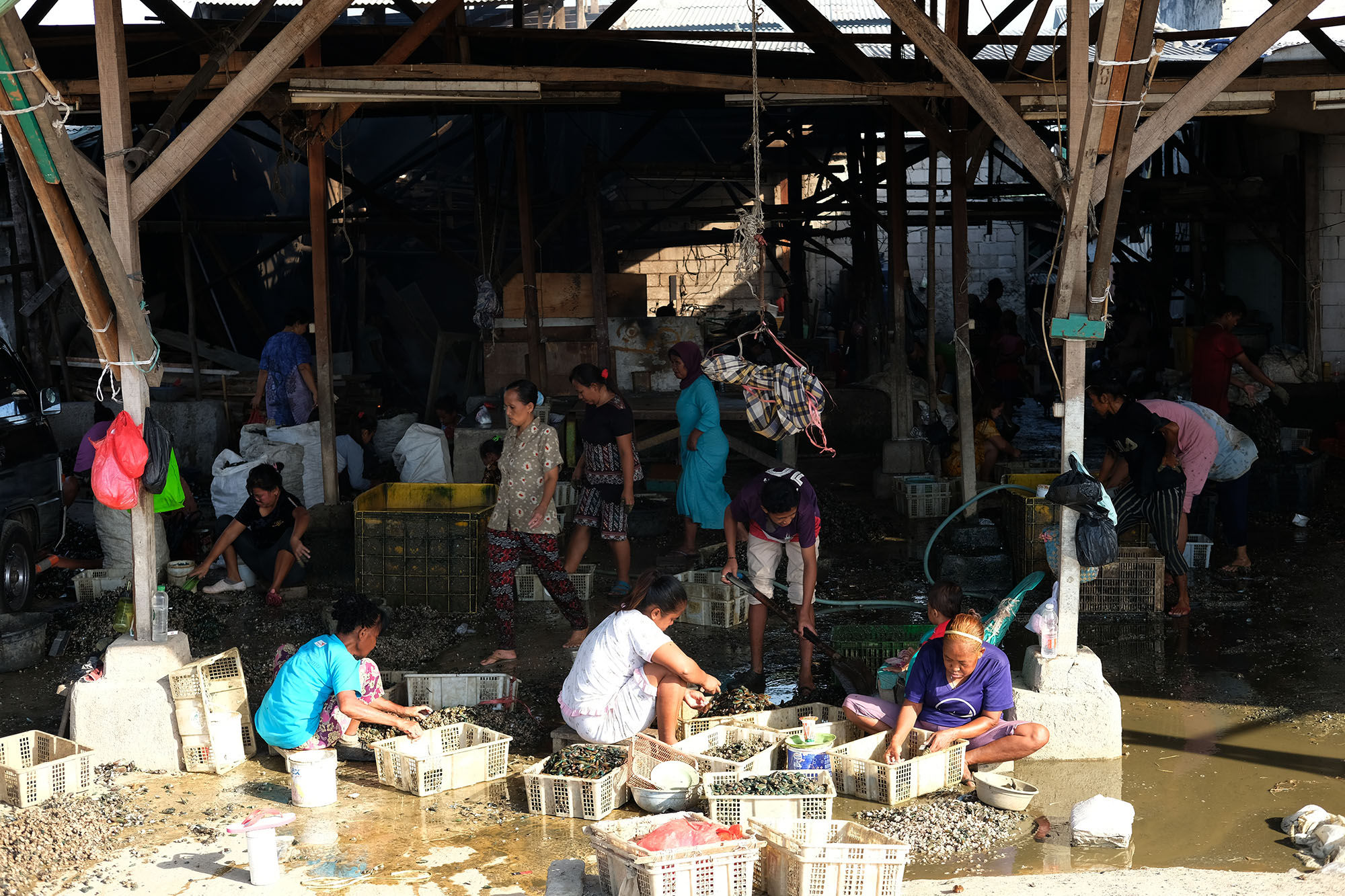 <p>Aktivitas pekerja disalah satu tempat produksi kerang hijau di perkampungan nelayan kawasan Cilincing, Jakarta Utara, Minggu, 26 Juli 2020. Warga dan nelayan mengaku dampak pembatasan sosial berskala besar (PSBB) akibat pandemi COVID-19 sangat berpengaruh terhadap perekonomian warga pesisir Jakarta Utara. Harga jual hasil laut nelayan merosot tajam, seperti harga jual ikan berkurang hingga setengah harga normal. Foto: Ismail Pohan/TrenAsia</p>
