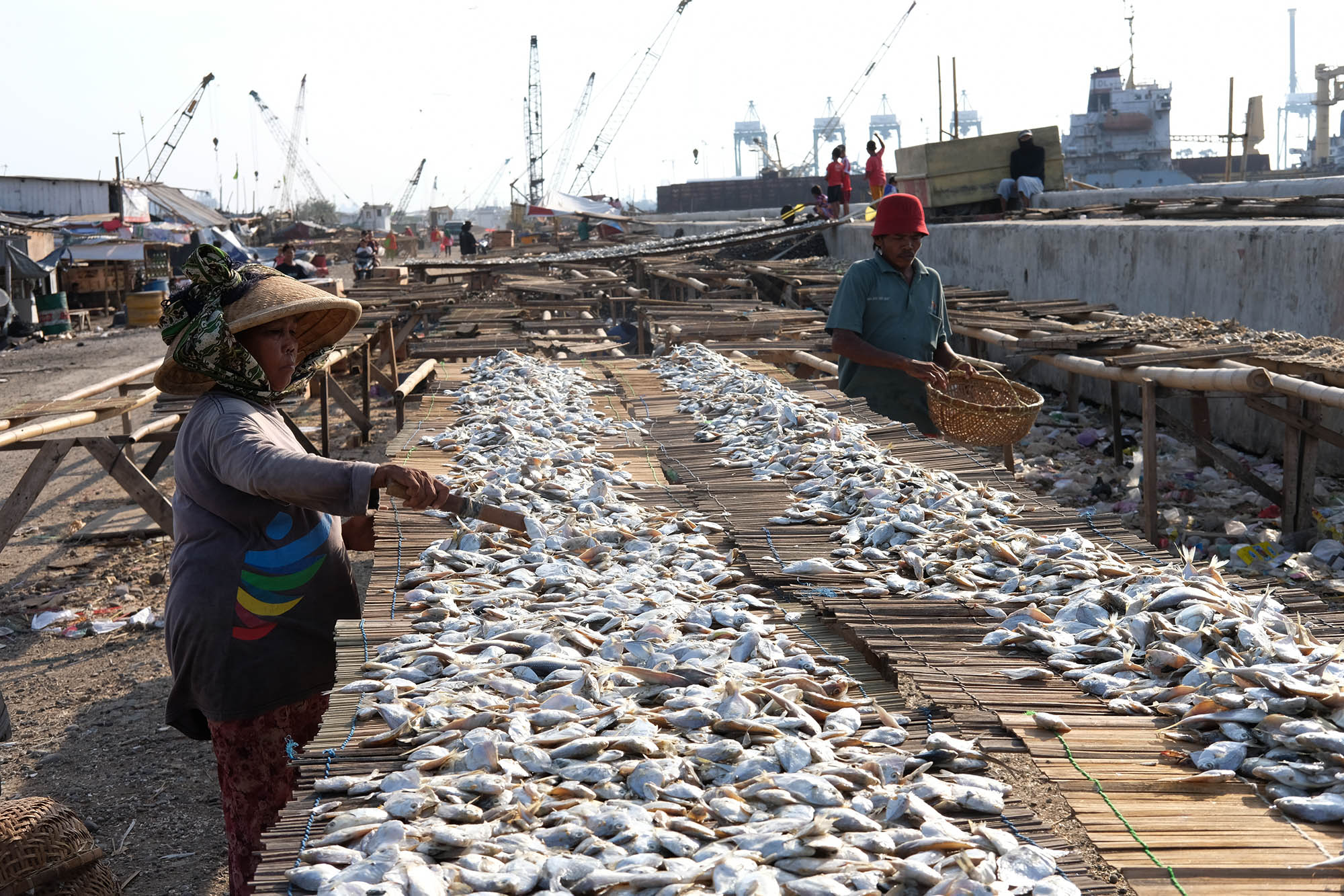 <p>Nelayan menjemur ikan hasil laut di perkampungan nelayan kawasan Cilincing, Jakarta Utara, Minggu, 26 Juli 2020. Warga dan nelayan mengaku dampak pembatasan sosial berskala besar (PSBB) akibat pandemi COVID-19 sangat berpengaruh terhadap perekonomian warga pesisir Jakarta Utara. Harga jual hasil laut nelayan merosot tajam, seperti harga jual ikan berkurang hingga setengah harga normal. Foto: Ismail Pohan/TrenAsia</p>
