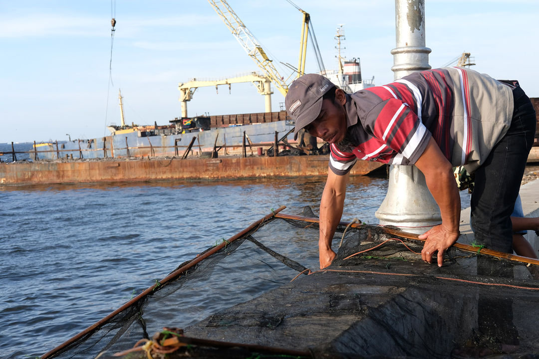 <p>Nelayan beraktivitas di perkampungan nelayan kawasan Cilincing, Jakarta Utara, Minggu, 26 Juli 2020. Warga dan nelayan mengaku dampak pembatasan sosial berskala besar (PSBB) akibat pandemi COVID-19 sangat berpengaruh terhadap perekonomian warga pesisir Jakarta Utara. Harga jual hasil laut nelayan merosot tajam, seperti harga jual ikan berkurang hingga setengah harga normal. Foto: Ismail Pohan/TrenAsia</p>
