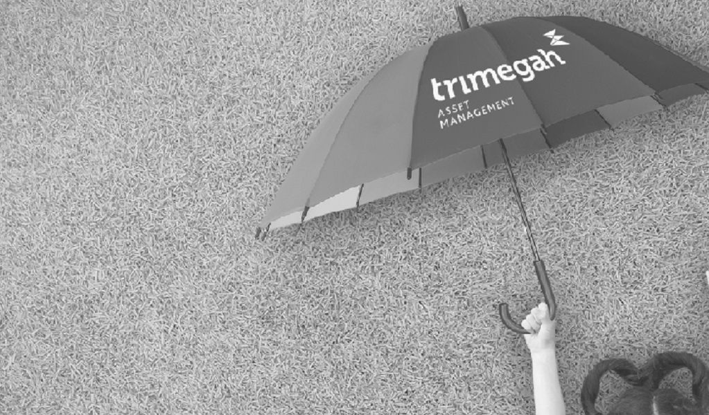 <p>Ilustrasi Trimegah Aset Management. / Trimegah.com</p>
