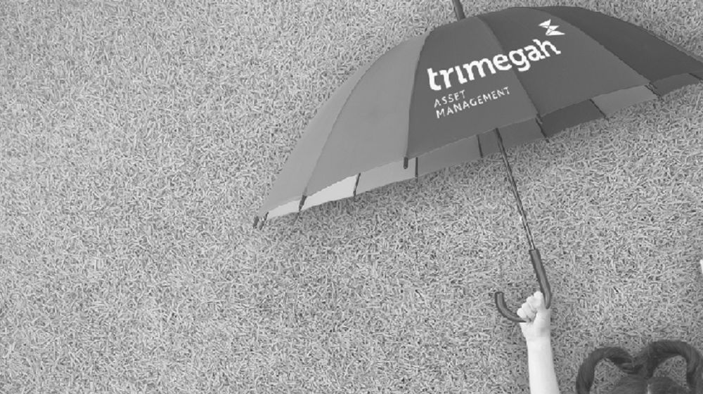 <p>Ilustrasi Trimegah Aset Management. / Trimegah.com</p>
