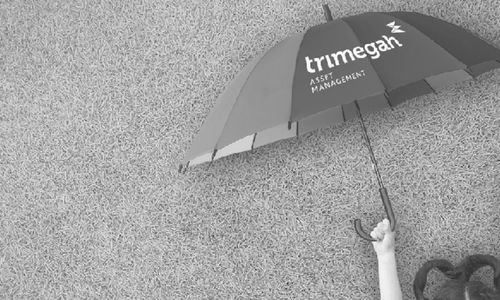<p>Ilustrasi Trimegah Aset Management. / Trimegah.com</p>