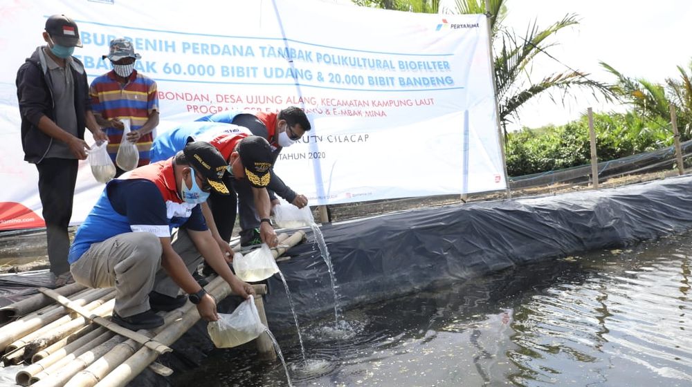 <p>Kegiatan tabur benih Udang Windu dan Ikan Bandeng di Dusun Bondan, Desa Ujung Alang, Kecamatan Kampung Laut, Kabupaten Cilacap, Jawa Tengah. / Dok. Pertamina</p>