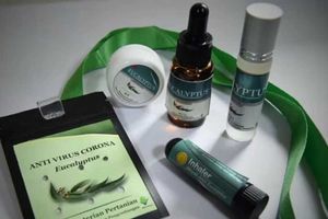 <p>Antivirus berbahan tanaman eucalyptus / Kementan</p>