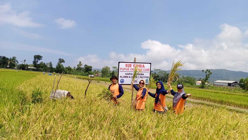 Yayasan Alumni SMAN 271 Tjoewik Pacitan, Uji coba Pupuk Organik di Lahan Pertanian
